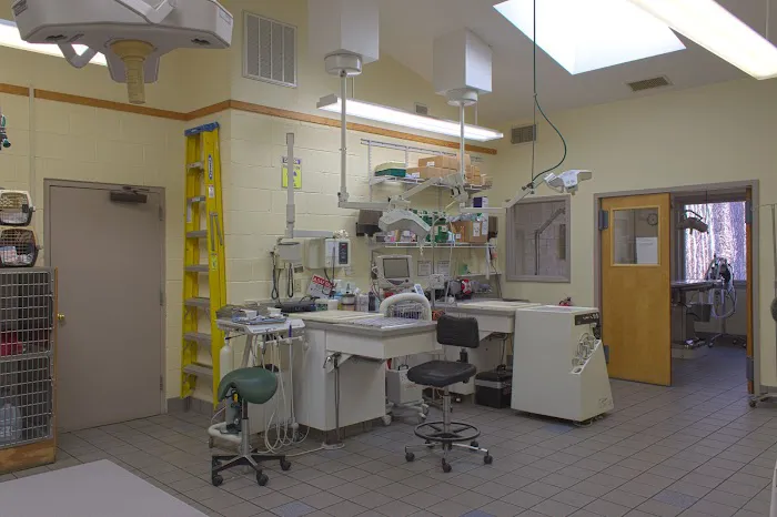 Park Veterinary Hospital & Urgent Care Picture 4