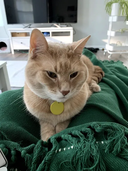 BluePearl Pet Hospital Picture 6