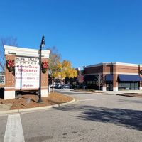 BluePearl Pet Hospital ico