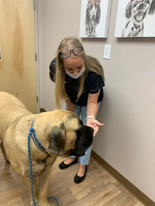 Falconbridge Animal Hospital Picture 4