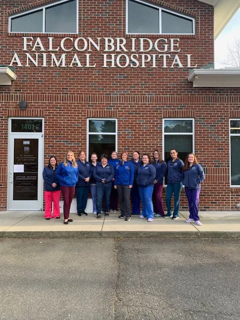 Falconbridge Animal Hospital Picture 5