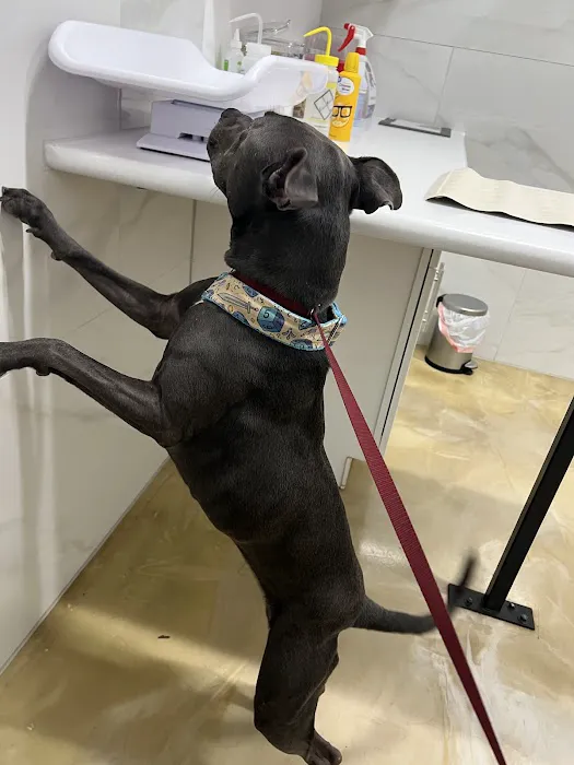 Eagle's Nest Animal Hospital Picture 10