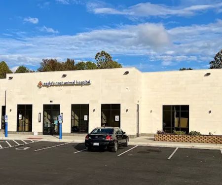 Eagle's Nest Animal Hospital