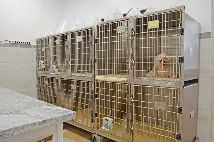 Eagle's Nest Animal Hospital Picture 4