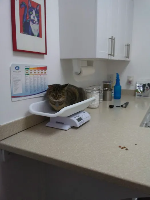 Eagle's Nest Animal Hospital Picture 9