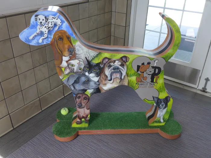Pouncey Tract Veterinary Hospital Picture 7