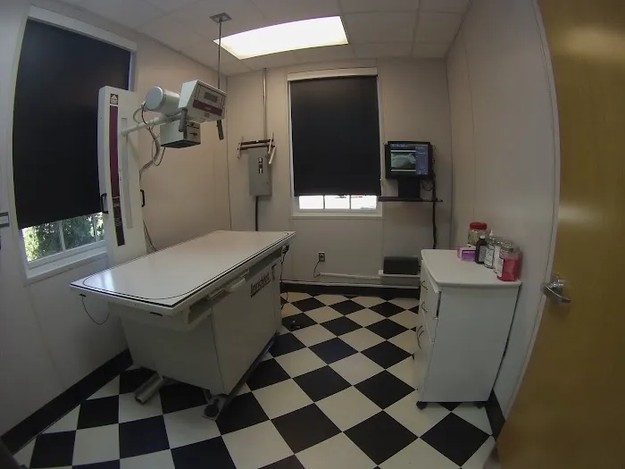 Pouncey Tract Veterinary Hospital Picture 9