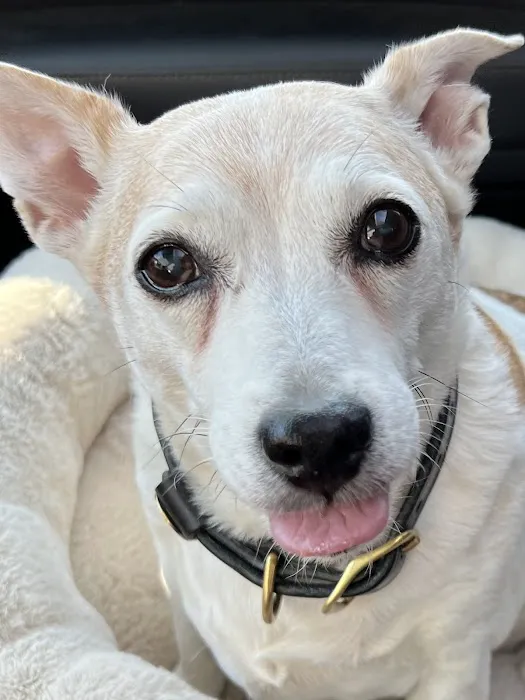 Pouncey Tract Veterinary Hospital Picture 3