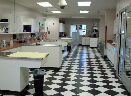 Pouncey Tract Veterinary Hospital Picture 6