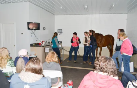 Virginia Equine Pllc Picture 6