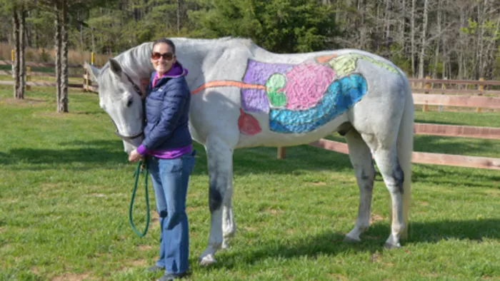 Virginia Equine Pllc Picture 9