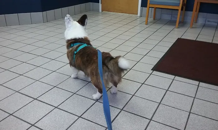 Manakin-Sabot Veterinary Clinic Picture 9