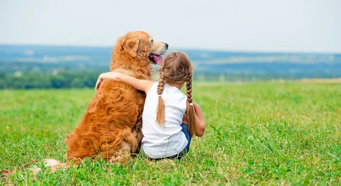 CVCA Cardiac Care For Pets Picture 2