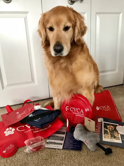 CVCA Cardiac Care For Pets Picture 8