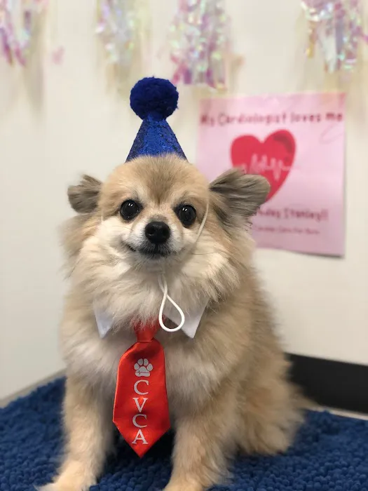 CVCA Cardiac Care For Pets Picture 9
