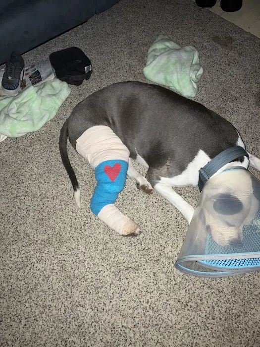 Partner Veterinary Emergency & Specialty Center Picture 5