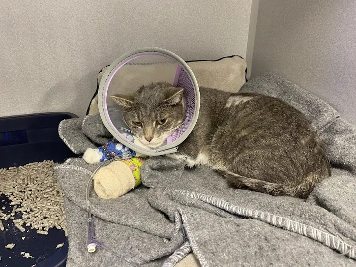 Partner Veterinary Emergency & Specialty Center Picture 6
