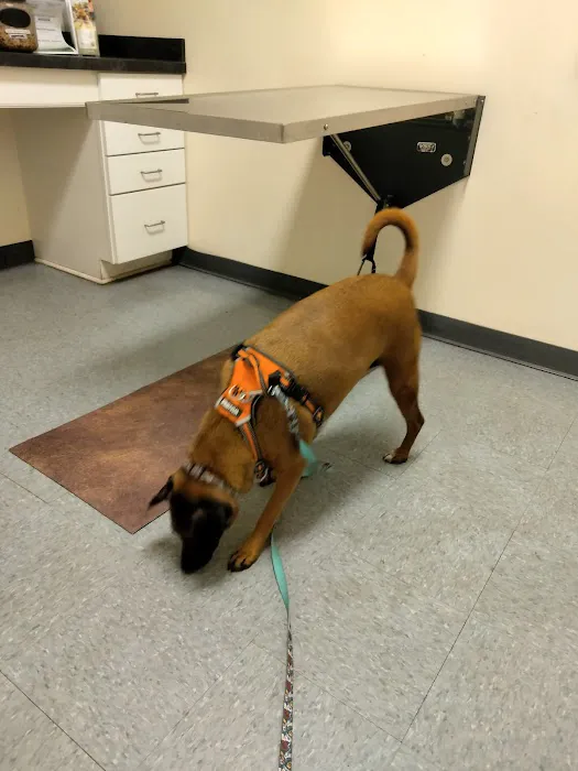 Glen Allen Animal Hospital Picture 4