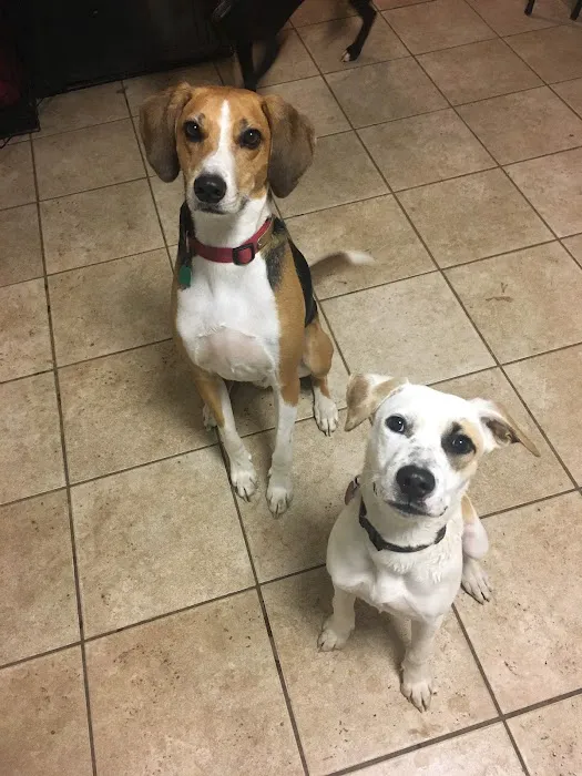 Glen Allen Animal Hospital Picture 8