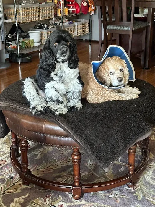 Glen Allen Animal Hospital Picture 9