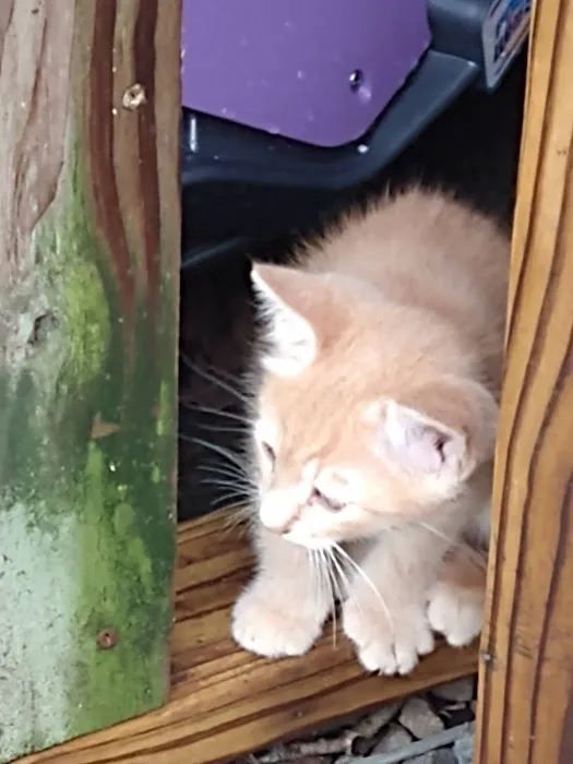 Hanover Animal Hospital Picture 8
