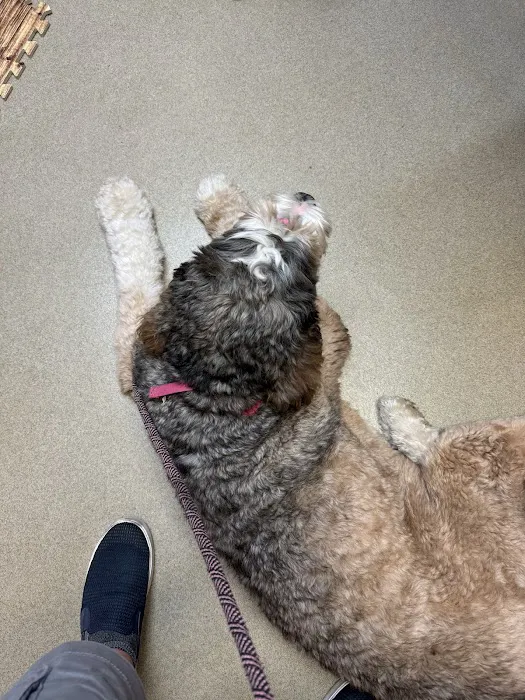 Hanover Animal Hospital Picture 1