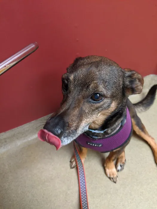 Hanover Animal Hospital Picture 10