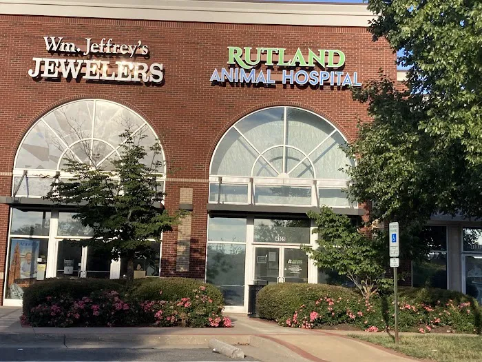 Rutland Animal Hospital Picture 4