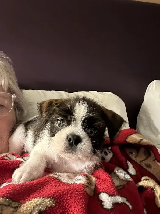 Rutland Animal Hospital Picture 1