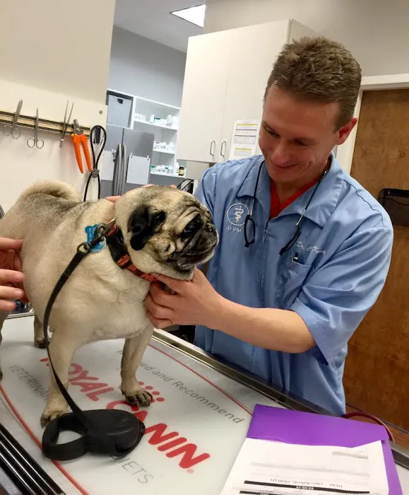 Rutland Animal Hospital Picture 9