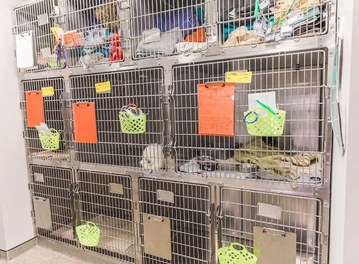 Short Pump Animal Hospital Picture 9