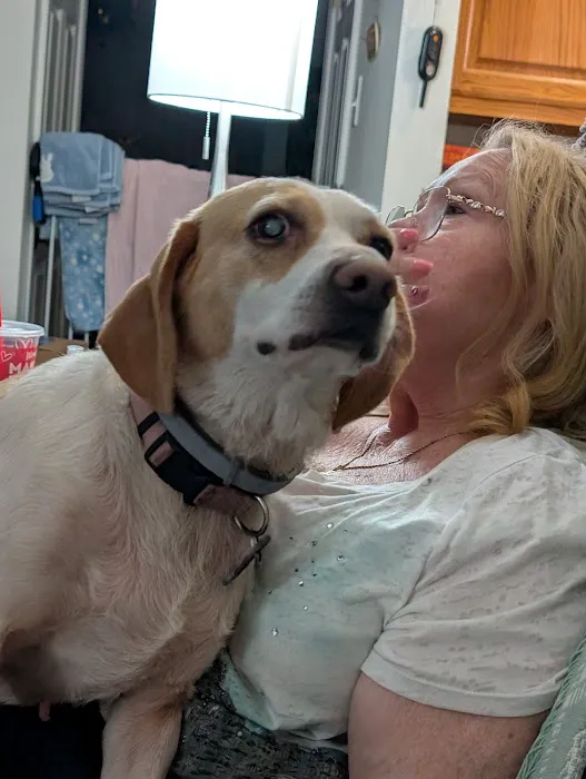 Virginia Veterinary Centers Short Pump Picture 4