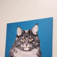 UrgentVet ico
