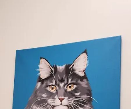 UrgentVet