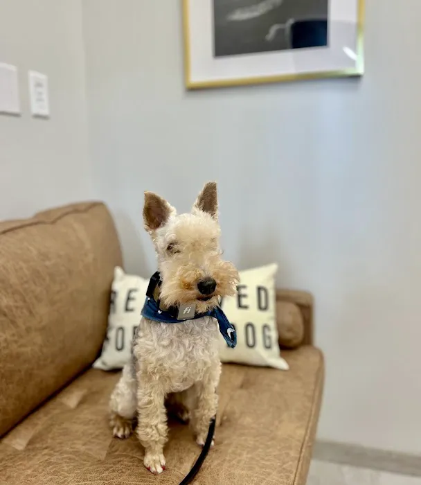 COTA Veterinary Picture 3