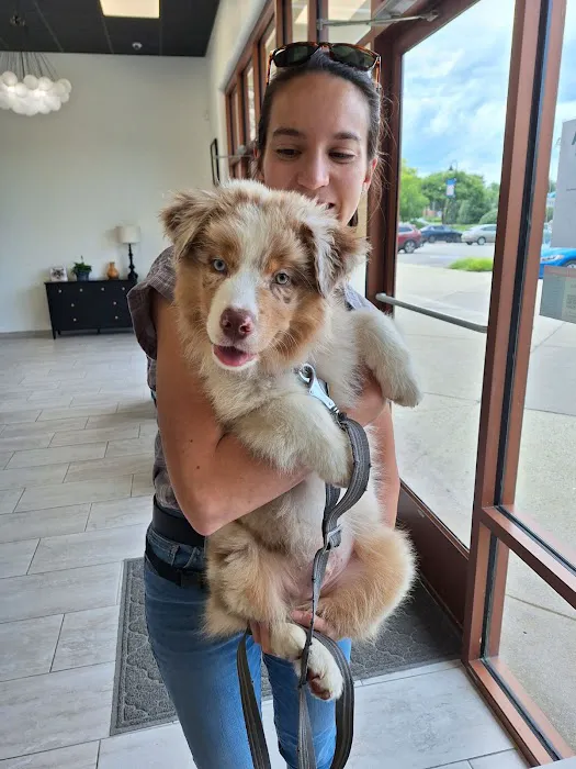 COTA Veterinary Picture 7