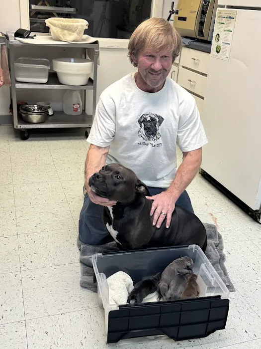 Crossroads West Veterinary Center Picture 4