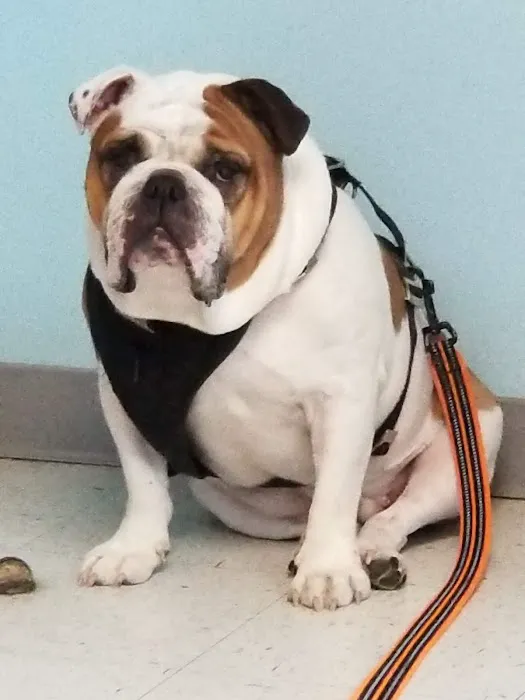 Crossroads West Veterinary Center Picture 5