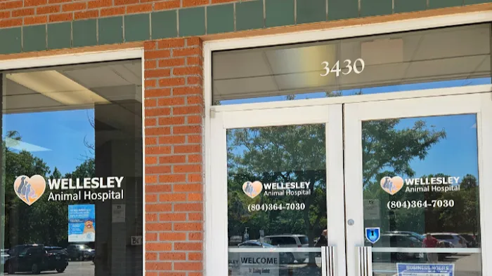 Wellesley Animal Hospital Picture 7
