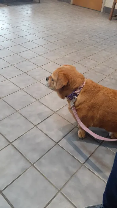 Strongsville Animal Hospital Picture 5