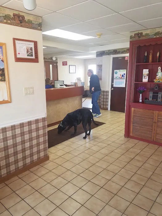 Crossroads Animal Hospital Picture 6