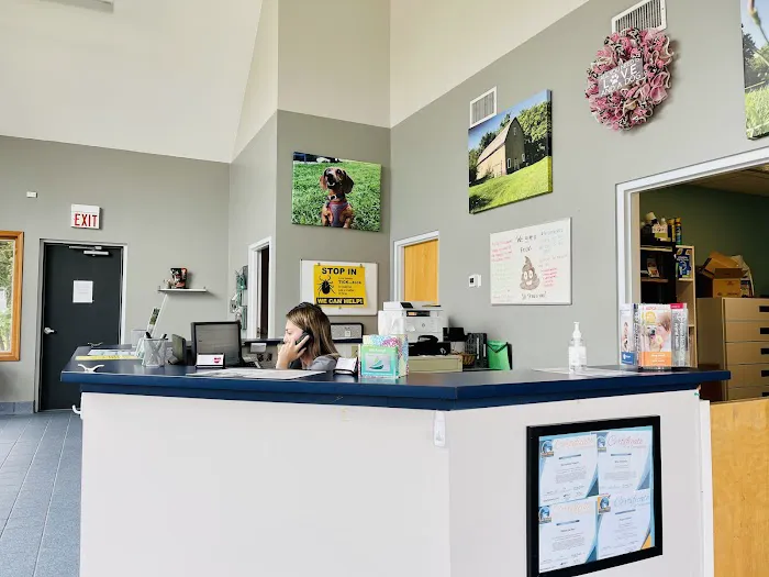 Animal Wellness of Strongsville Picture 1