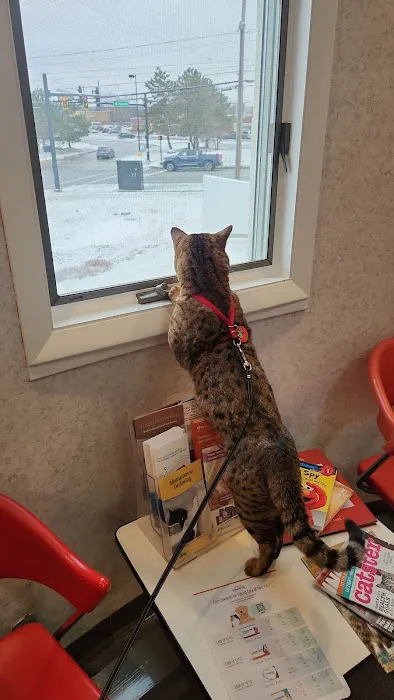 Small Miracles Animal Hospital Picture 2