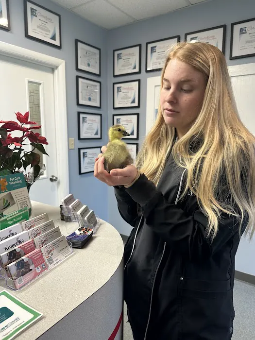 Small Miracles Animal Hospital Picture 4