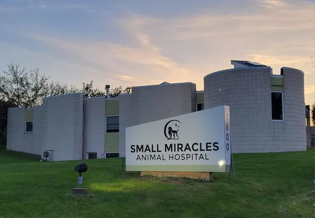 Small Miracles Animal Hospital Picture 1