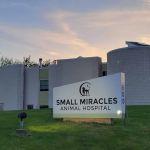 Small Miracles Animal Hospital