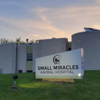 Small Miracles Animal Hospital ico