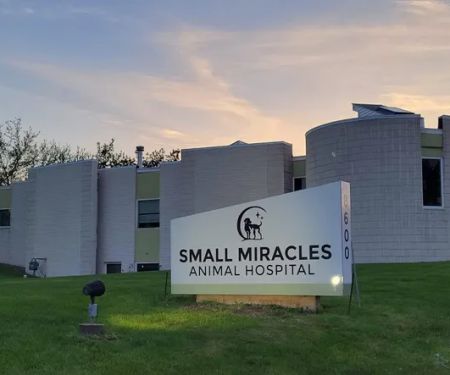Small Miracles Animal Hospital