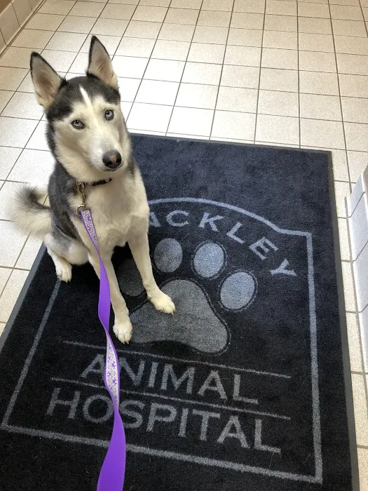 Hinckley Animal Hospital Picture 3