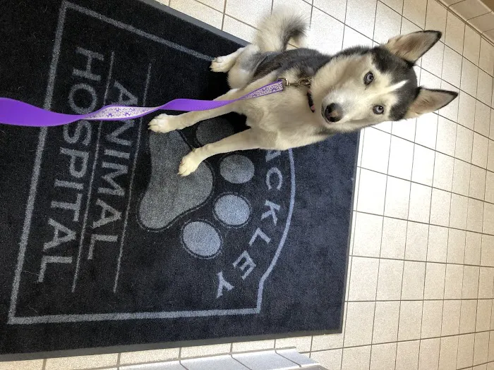 Hinckley Animal Hospital Picture 2